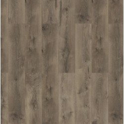 Classen Дуб Данди Legend 4V WR, арт.54781