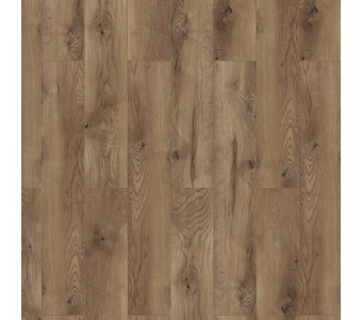 Classen Дуб Эдинбург Legend 4V WR, арт.54755