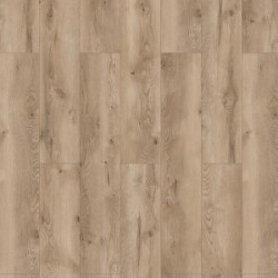 Classen Дуб Гордон Legend 4V WR, арт.54754