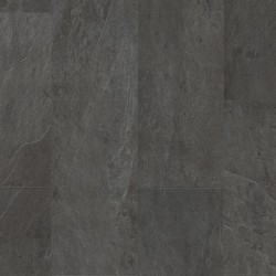 AMCP40035 LIVYN AMBIENT CLICK PLUS Black slate