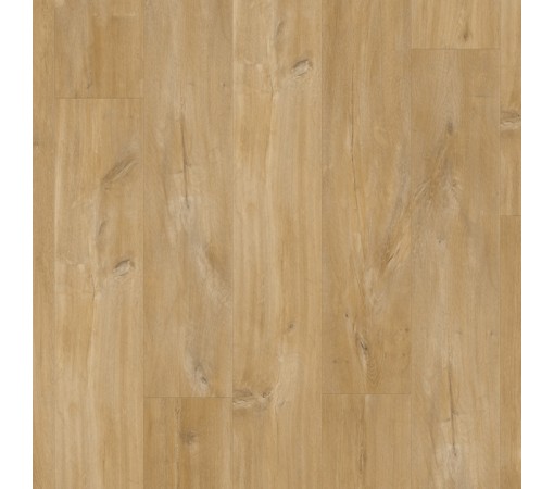 BACL40039 LIVYN BALANCE CLICK Canyon oak natural