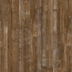 PUCP40075 LIVYN PULSE CLICK PLUS Sundown pine