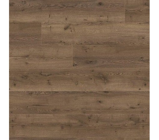 Balterio EXCELLENT 4V 00359 Дуб Солнечный